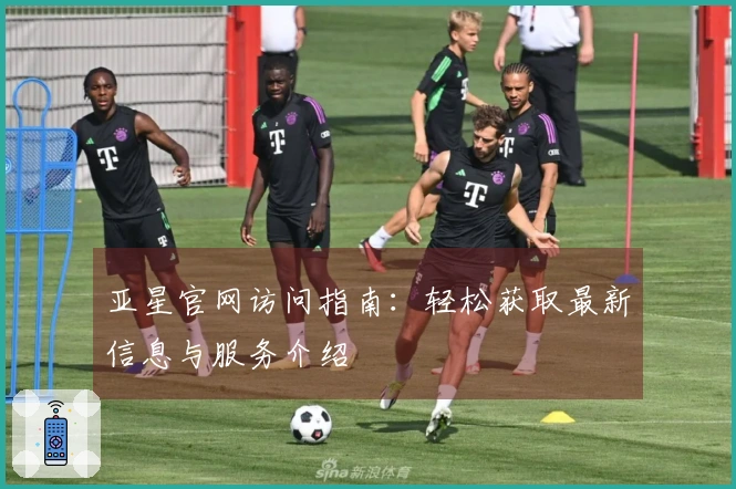 亚星官网访问指南：轻松获取最新信息与服务介绍